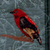 Thumbnail image of quilt titled "Red Bird III" by Margaret Liston &copy; 2008