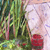 Thumbnail image of quilt titled "Garden Walkway" by Nicole McHale &copy; 2008