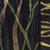Thumbnail image of quilt titled "Leaves of Grass" by Barbara Nepom &copy; 2008