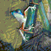 image from "Lookout" collection