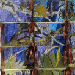 image from the "Peripheral Visions" collection