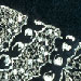 image from the "Visual Verse" collection