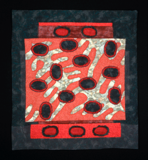 image of quilt titled "Toe in the Water" by Diane Frances Reardon