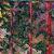 Thumbnail image of "Fantasy Forest" quilt by Joyce Becker