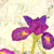 Thumbnail image of "Irises in My Garden" quilt by Melody McGinnis