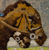 thumbnail image of quilt titled "By A Nose" by Christina Erickson 