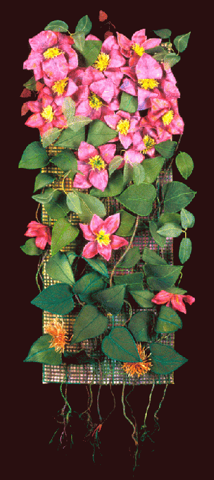 Jo Van Patten - Clematis, Cultivar