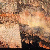 Thumbnail image of quilt titled "Ebb and Flow"