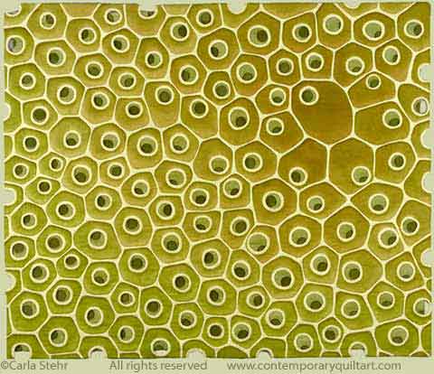 Image of "Diatoms 8" quilt by Carla Stehr