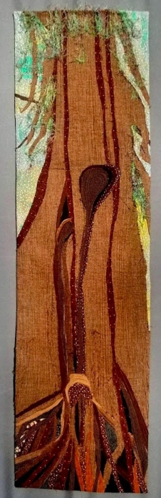 Old Growth Cedar by Janet Darcher