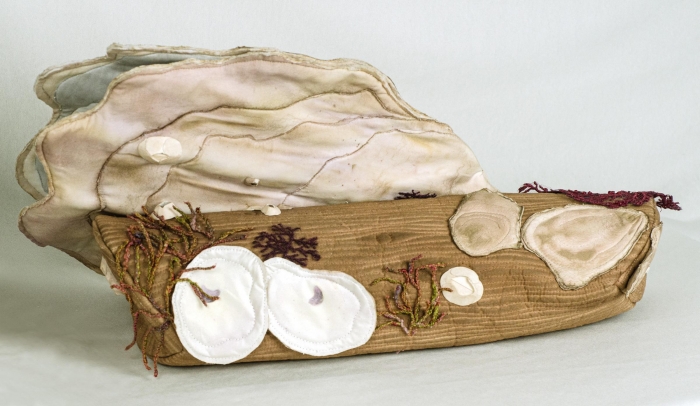 Oysters on Driftwood 1 by Carla Stehr