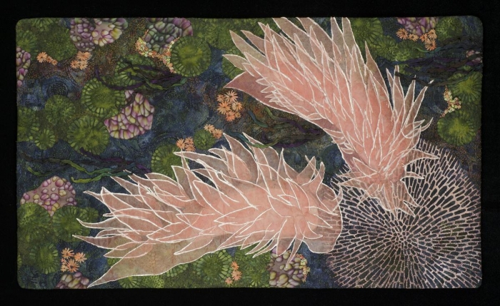 Nudibranchs 2 by Carla Stehr