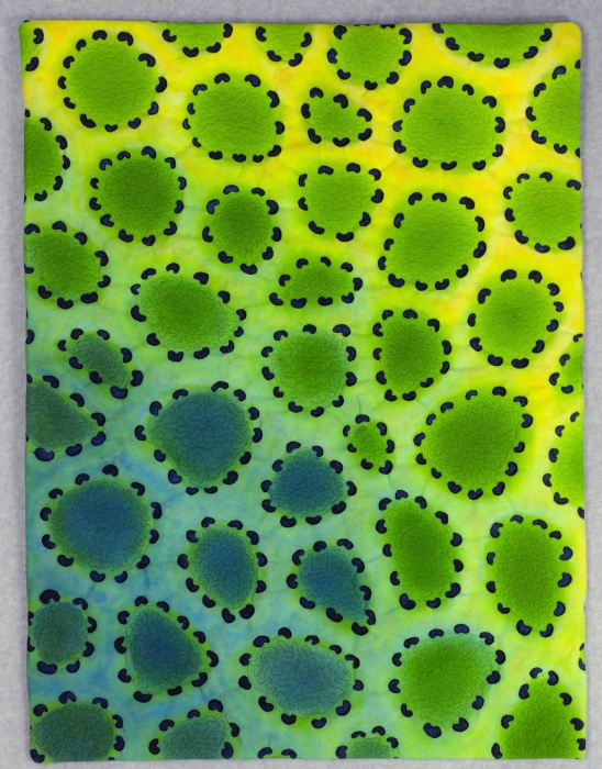 Diatom 11 by Carla Stehr