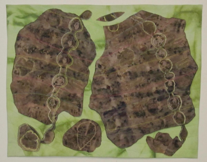 Fossils by Barbara O'Steen