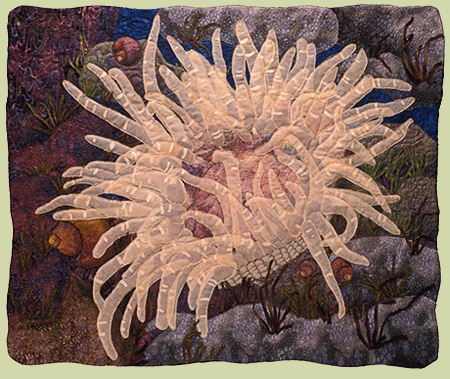 Carla Stehr - Moonglow Anemone